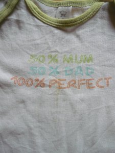 Ecover folteltávolító, folyékony mosószer és öblítő tesztje