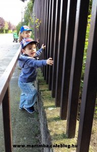 Első babacipő vásárlása