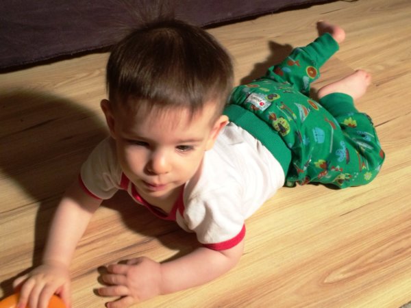 GOTS minősítési rendszer